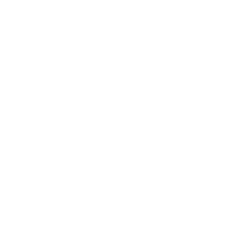 Plaion_W_240x240